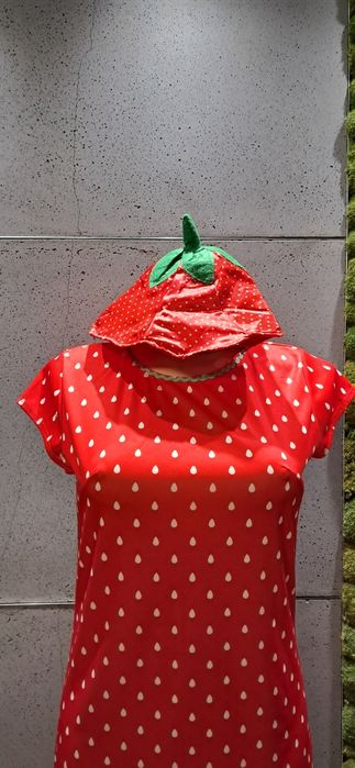 Strój przebranie kostium poziomka