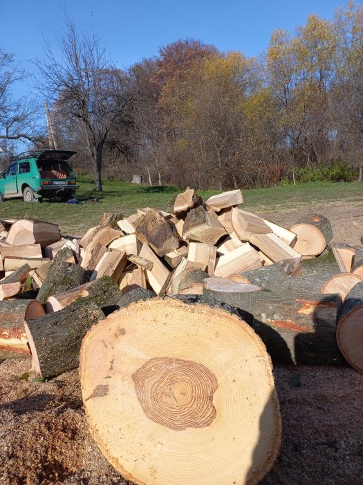 Дрова Чернівці тверда порода