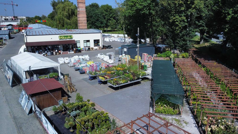 Grys granitowy - Kostka granitowa - Rośliny - Ogród