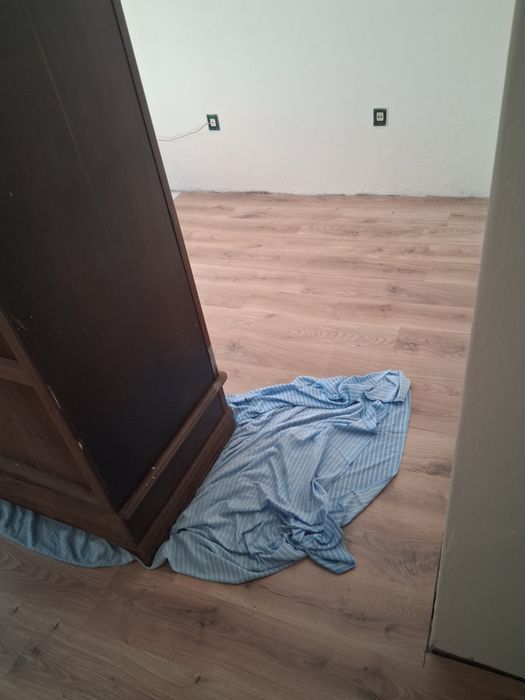 Serviços domésticos e pinturas