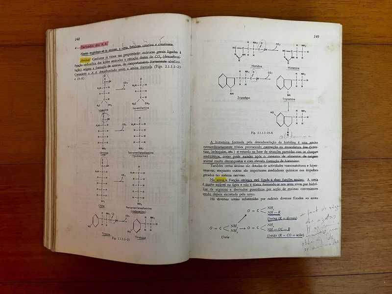 Bioquímica Animal