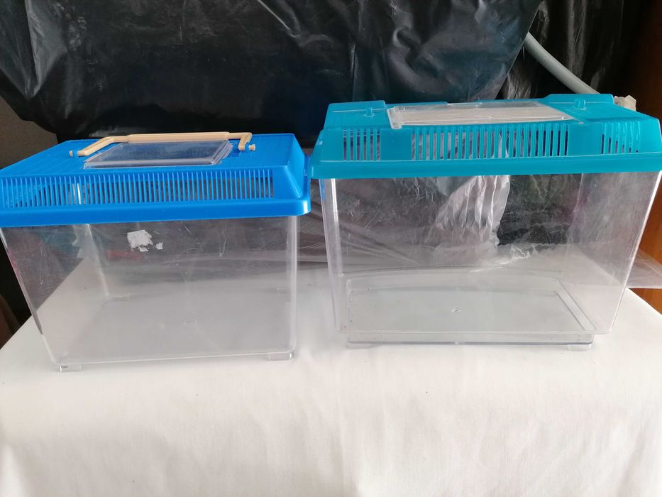 Aquário / transportador para peixes ou répteis