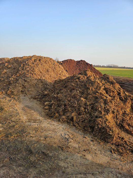 Obornik indyczy pomiot