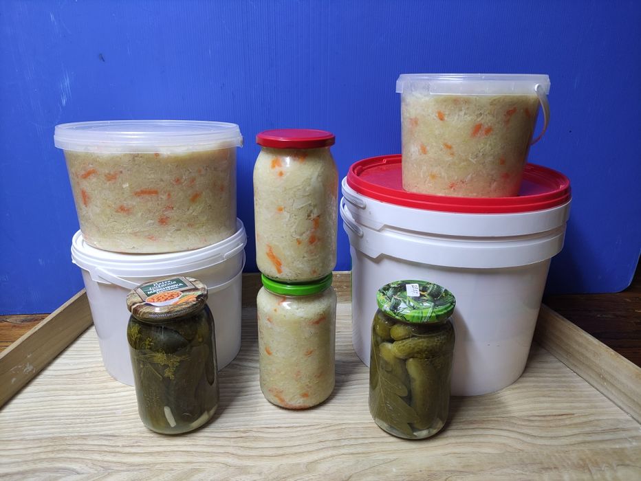 Kapusta kiszona z własnej uprawy domowej roboty