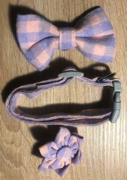 Нашийник для котів і маленьких песиків