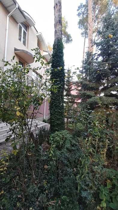 Таунхаус, Ірпінь, центральний парк, топова локація