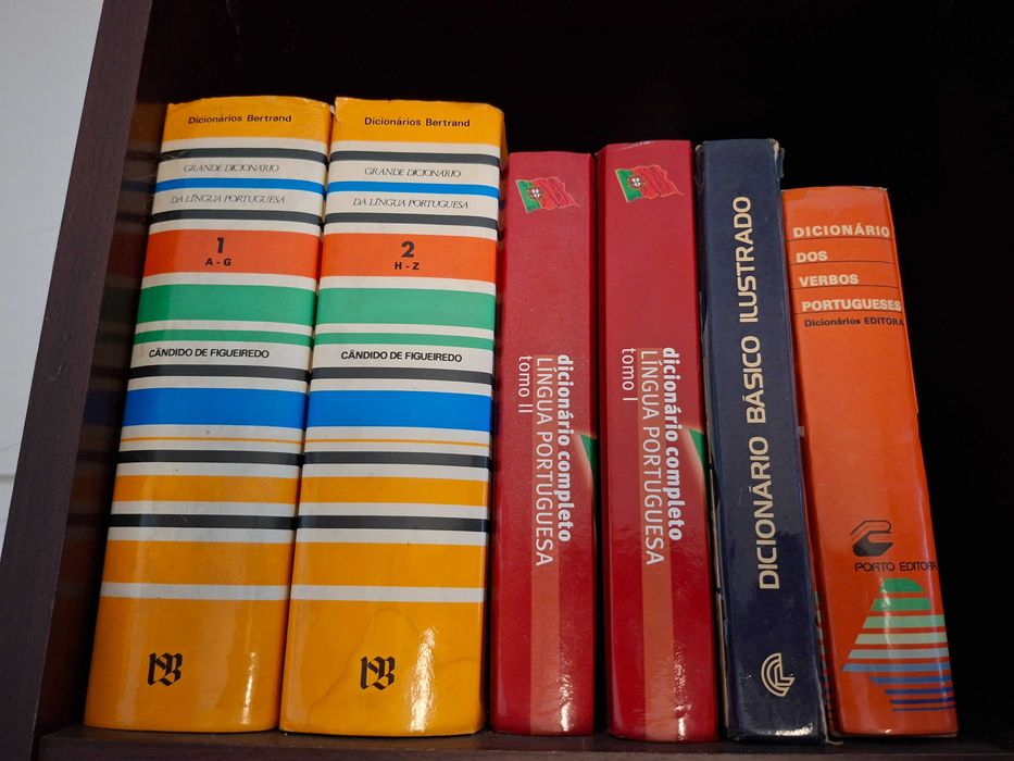 Livros de História e dicionários - Preço para lote
