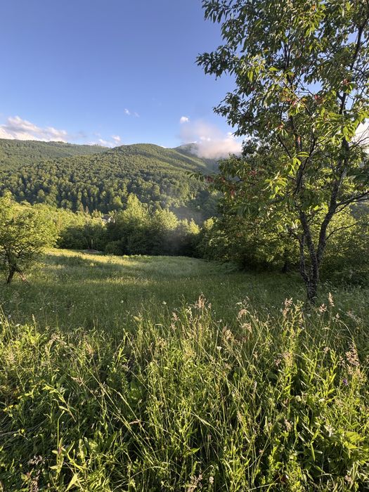 Земельна ділянка
