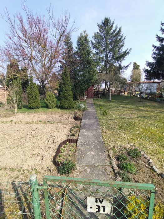 Sprzedam Dzialke 300m . Gorki Ustowskie ul. Poludniowa Szczecin - Więcej