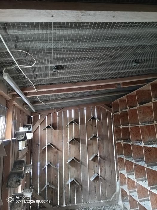 Gołębnik 7.5m x 2m