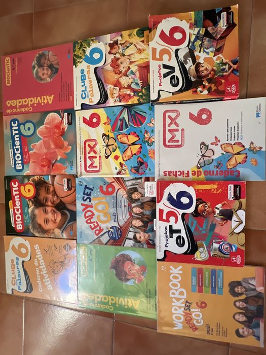 Vendo manuais  do 6.º ano 7€ cada.