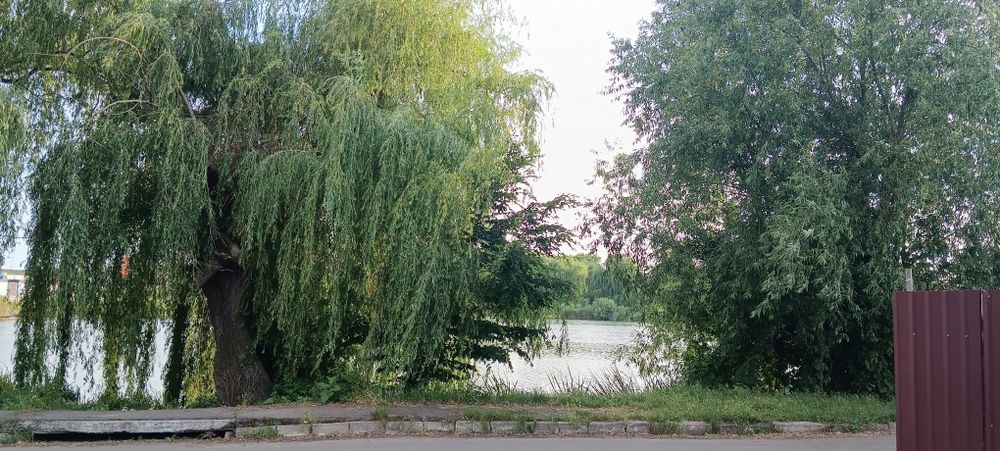 Приватизована земельна ділянка.з приміщенням для магазину.