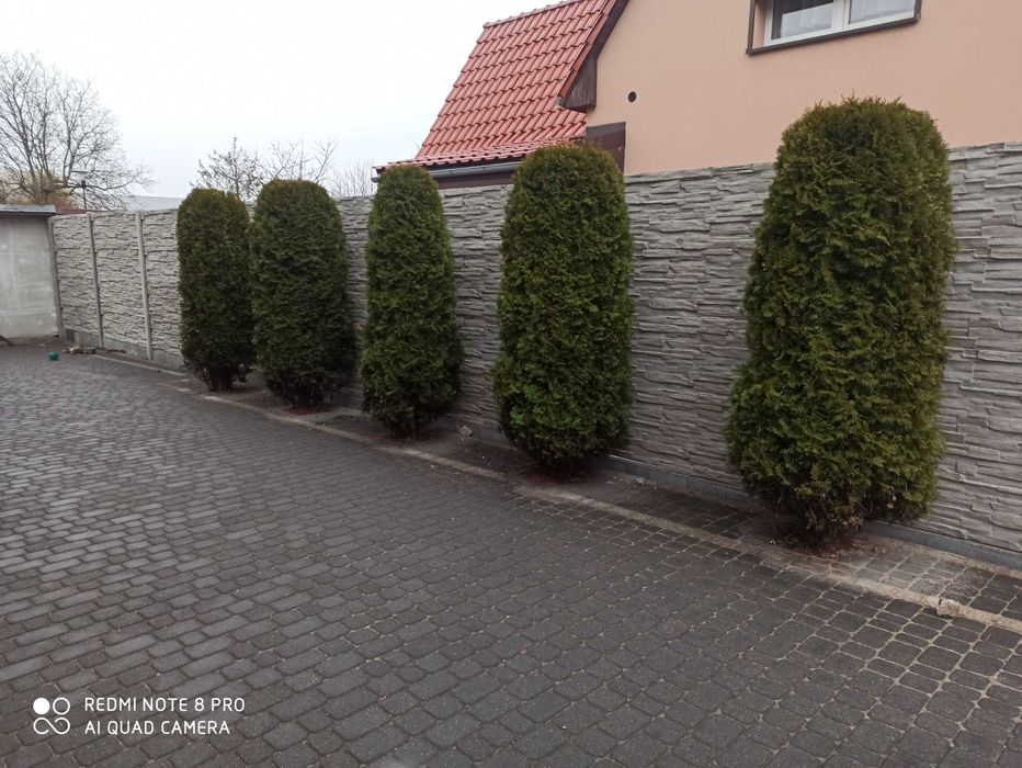 Ogrodzenia betonowe z montażem