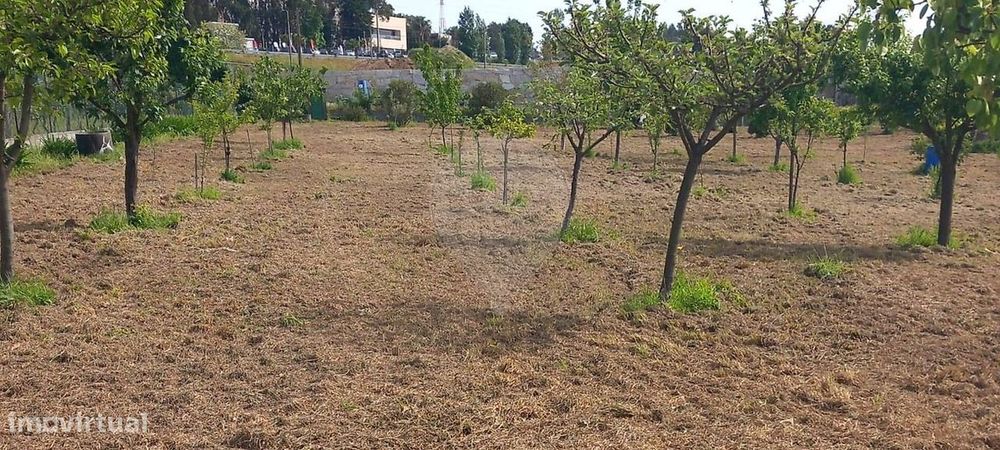 Terreno  para venda
