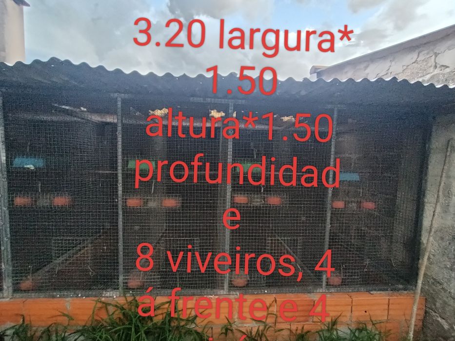 Viveiros Grandes em Tubo Galvanizado com Rede Dupla (6 e 8 Divisões)