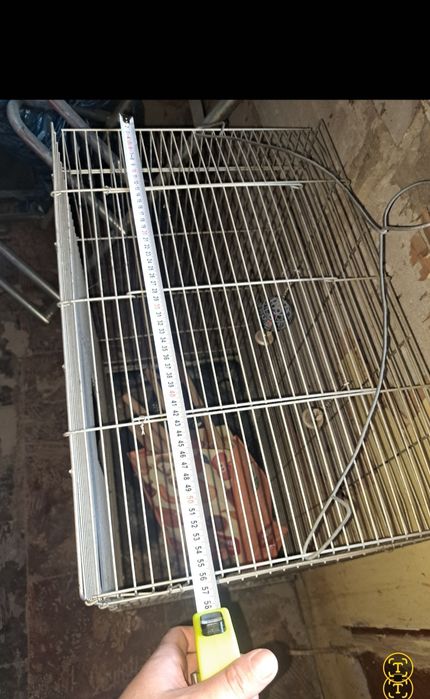 Klatka dla ptaszków z wyposażeniem