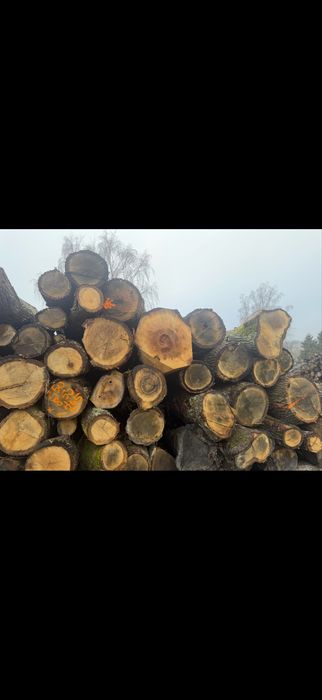 Drewno Kominkowe Dąb