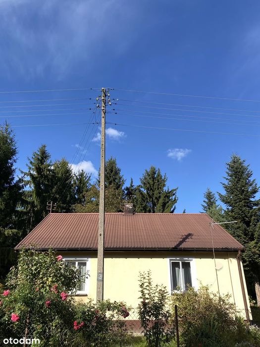 Zdjęcie 3