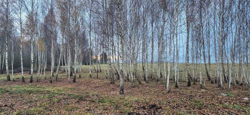Piękna działka w Lęborku (1 km od centrum) z planem zagospodarowania - View 5