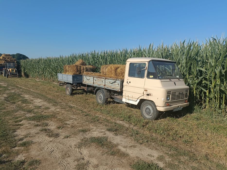Żuk