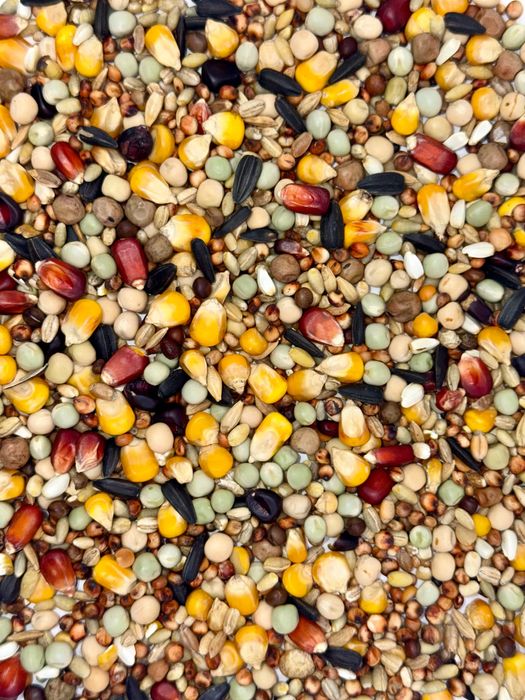 KARMA DLA GOŁĘBI RL rozpłodowa lotowa FLORCZYK 25kg