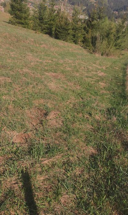 Продаж землі, Пушкар, пару сот метрів центр. Верховина