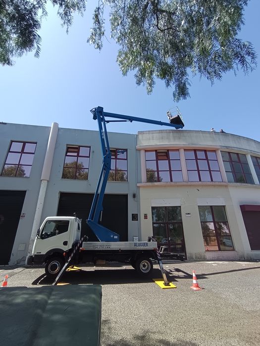 Aluguer de grua com cesto