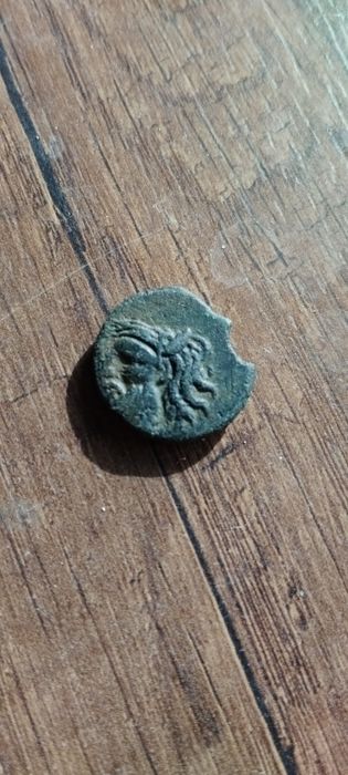 Античная монета Ольвии Борисфен.