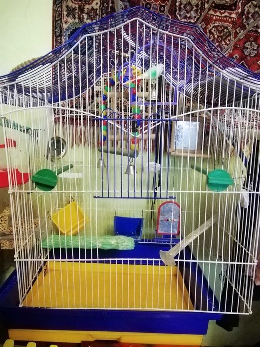 Клітка для птахів