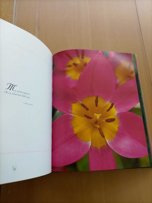 Livro "TULIPS" Coleção de fotos de Tulipas com citações em Inglês