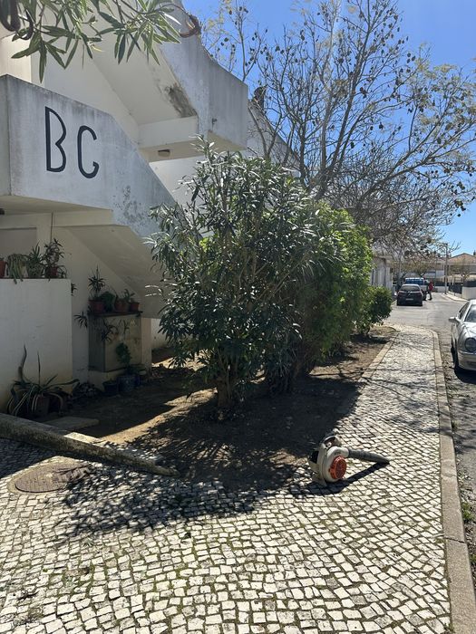 Jardineiro e manutencoes