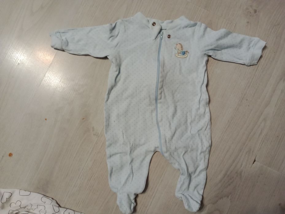 Pajacyk jasnoniebieski