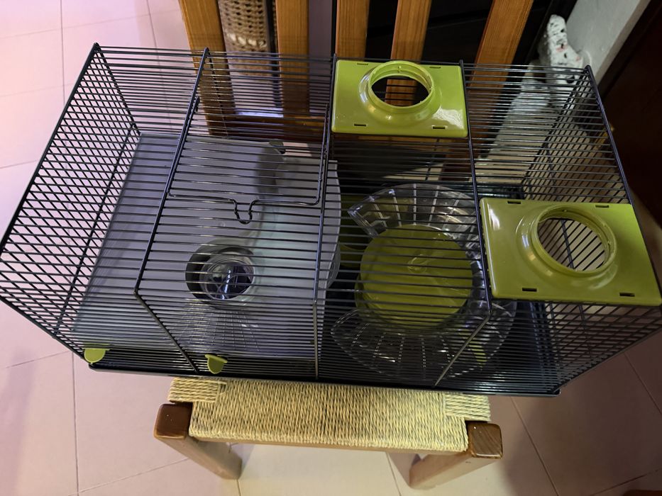 Gailola para Hamster