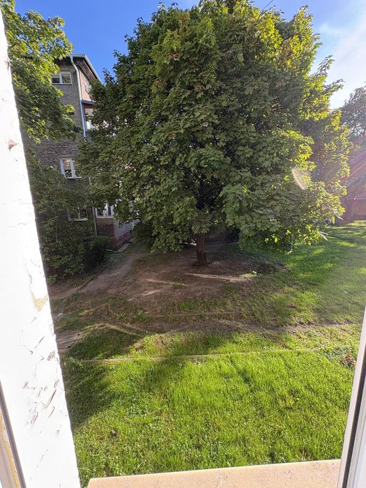 Zdjęcie 7