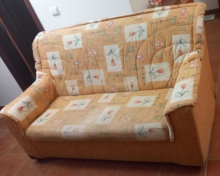 2 sofás de sala de estar