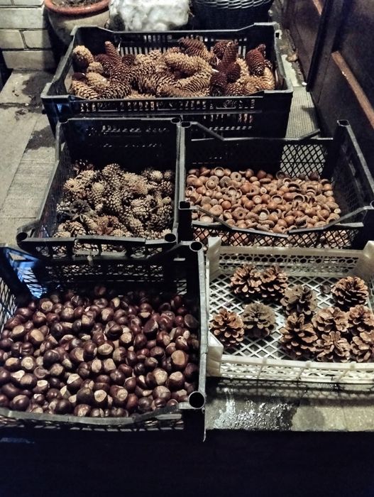 Природні матеріали для декора