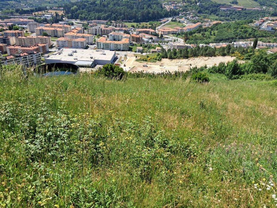 Terreno Serra das Meadas - Lamego