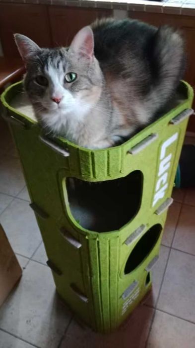 Лежанка когтеточка будинок для котика кота собачки