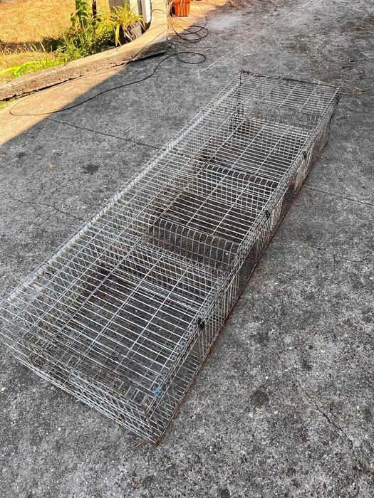 Coelheira para coelhos