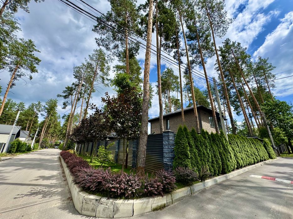 Продаж ділянки у СОСНОВОМУ ЛІСІ с. Ходосівка КМ Нова Ходосівка - Вид 3