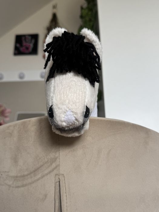 Kucyk hobby horse