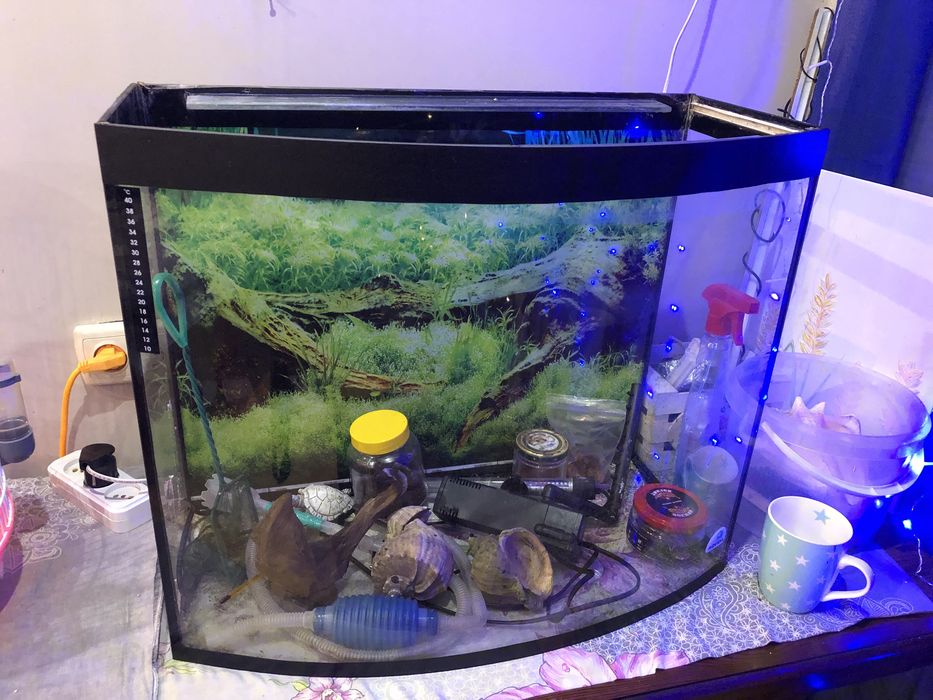 Акваріум на 85 л , з аксесуарами до нього