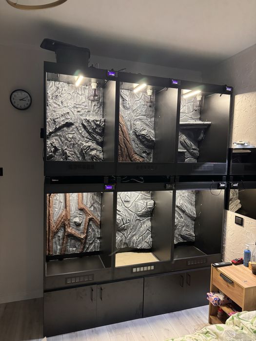 Terrarium 60x50x90 wąż nadrzewny gekony kameleon