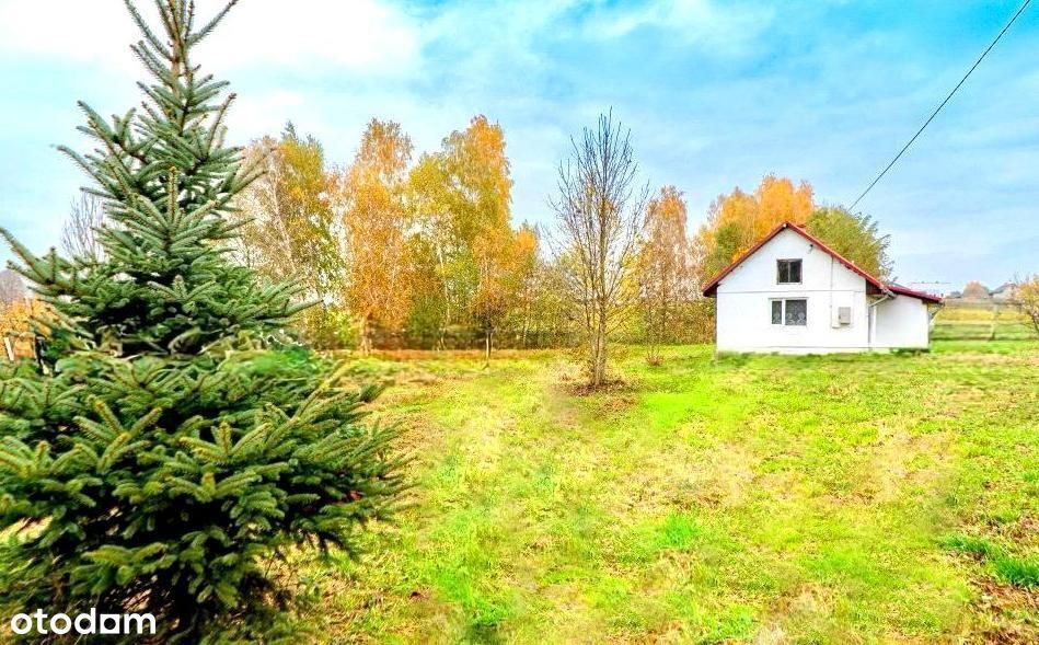 Dom 98 m2/2 pokoje/kuchnia/łazienka/13 ar/las