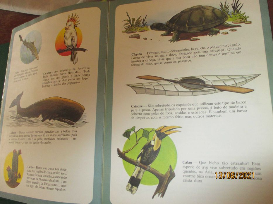 Enciclopédia infantil ilustrada - 6 volumes