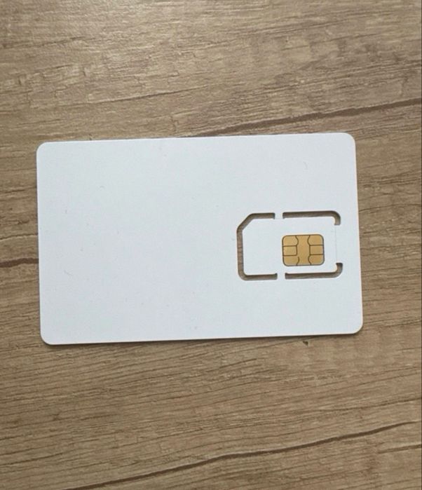 Sim Tesla beimitu danych