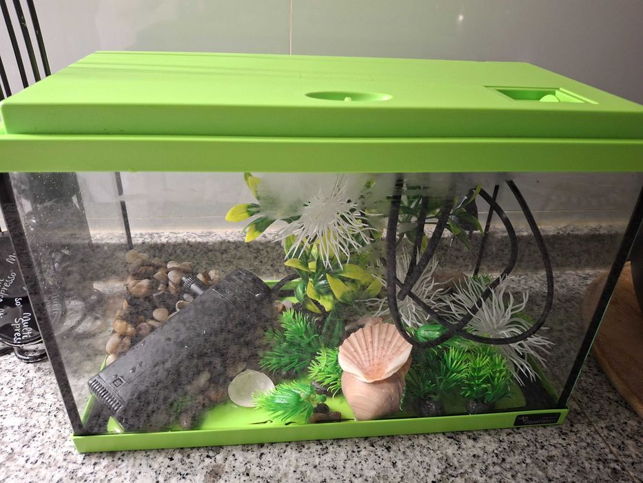 Aquario  com assessorios