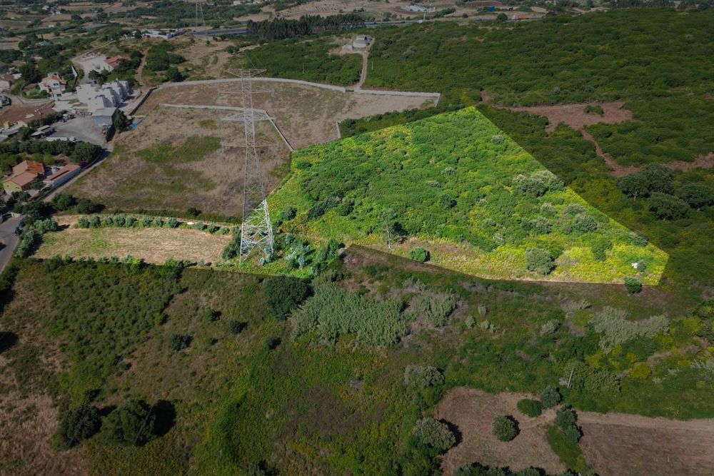 Terreno Rústico com 14.440 m² em Loures | Murteira | 144.400 €
