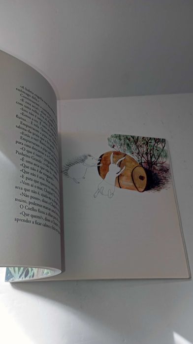 Contos da Mata dos Medos - Álvaro Magalhães