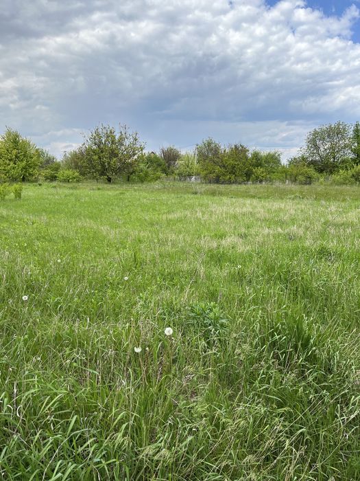 Земельна ділянка, 10 соток